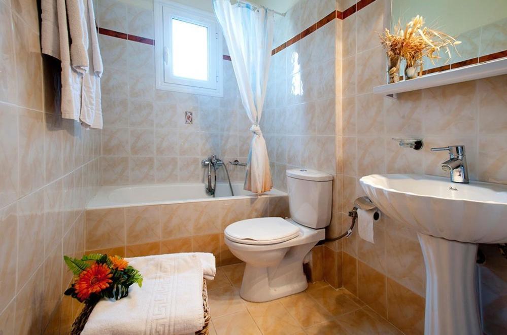 Dion Zois Apartment Finikounta Room photo